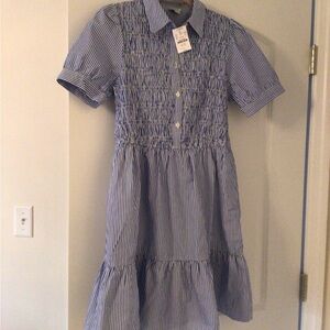 J. Crew Factory Navy Striped Shirt Dress
